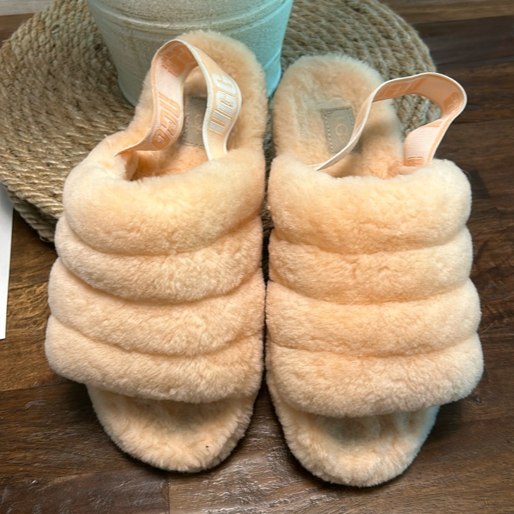 Ugg slipper.